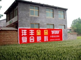 涟源如何让墙体广告展现最大化效果