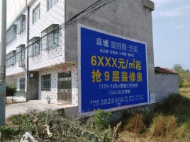 涟源墙体广告质量分析